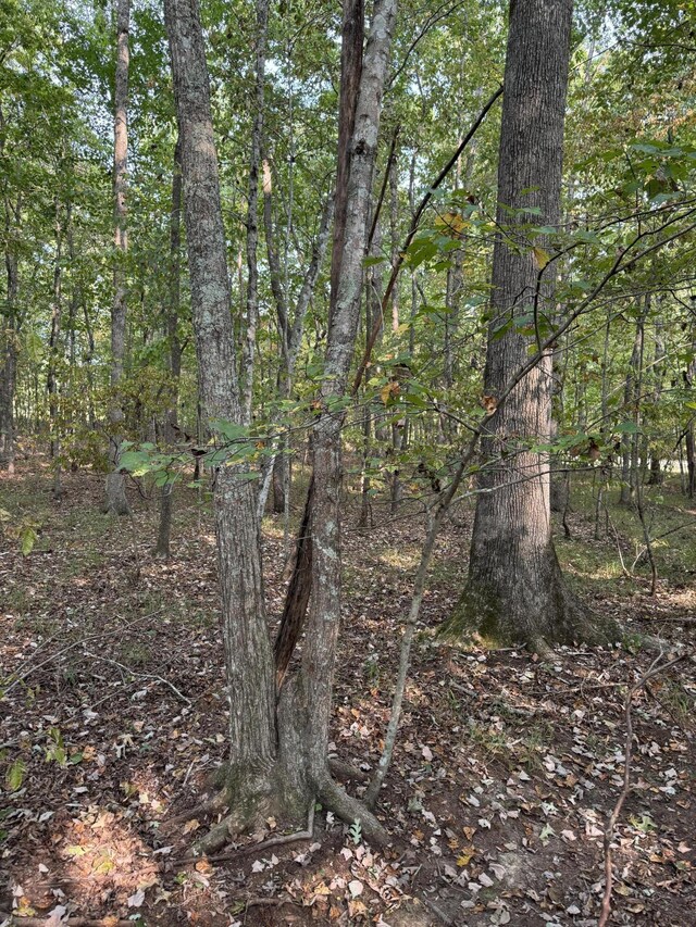 LOT141 Camp Creek Cir, Spencer, TN 38585