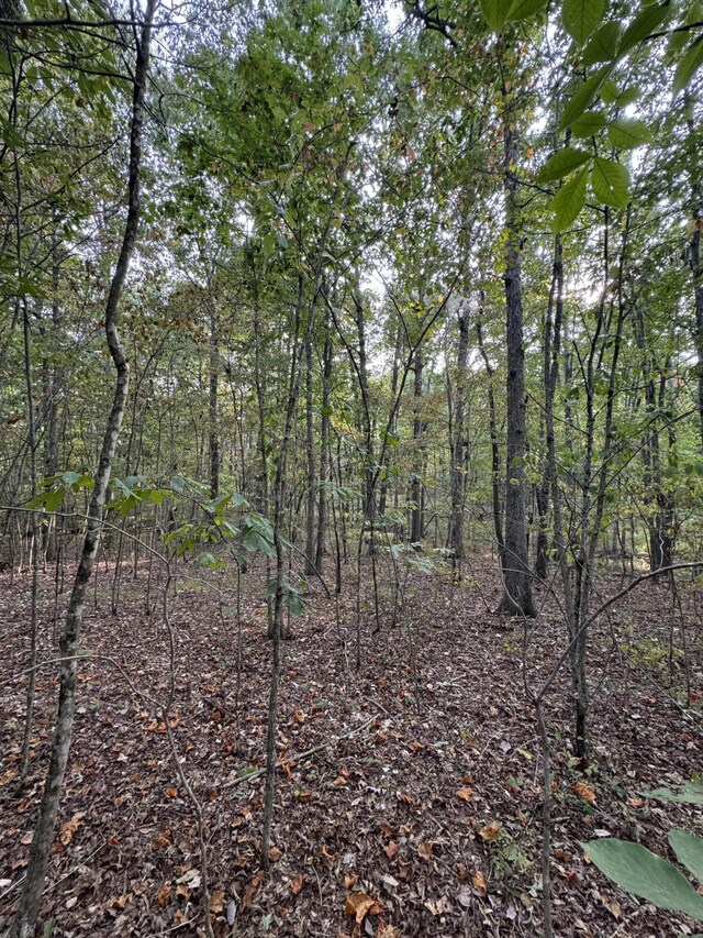 LOT141 Camp Creek Cir, Spencer, TN 38585