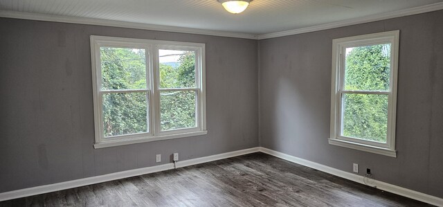 spare room featuring crown molding and dark hardwood / wood-style floors