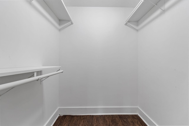 walk in closet with dark hardwood / wood-style flooring