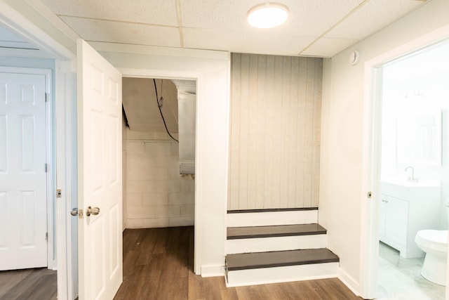 bathroom with vanity, toilet, a drop ceiling, and hardwood / wood-style floors