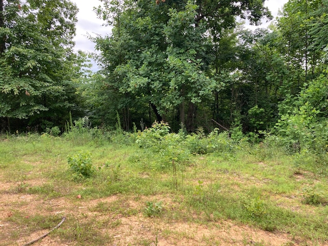 00 Orme Mountain Rd, South Pittsburg TN, 37380 land for sale