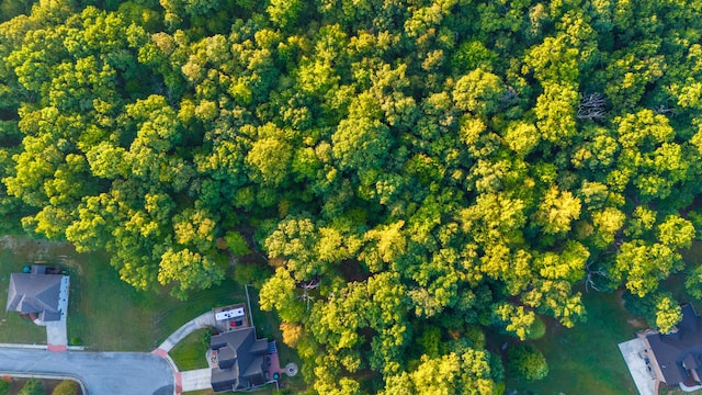 1444 Leighton Dr, Soddy Daisy, TN 37379 - photo 14