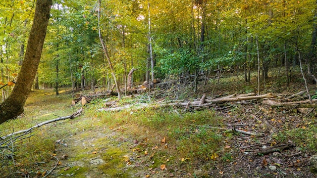 1444 Leighton Dr, Soddy Daisy, TN 37379 - photo 23