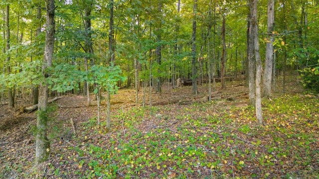 1444 Leighton Dr, Soddy Daisy, TN 37379 - photo 25