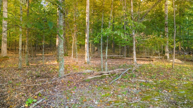 1444 Leighton Dr, Soddy Daisy, TN 37379 - photo 28