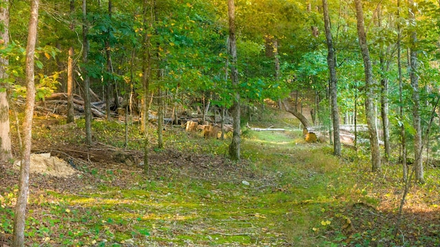 1444 Leighton Dr, Soddy Daisy, TN 37379 - photo 29