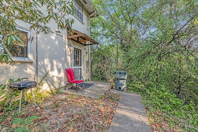 view of yard featuring a patio area