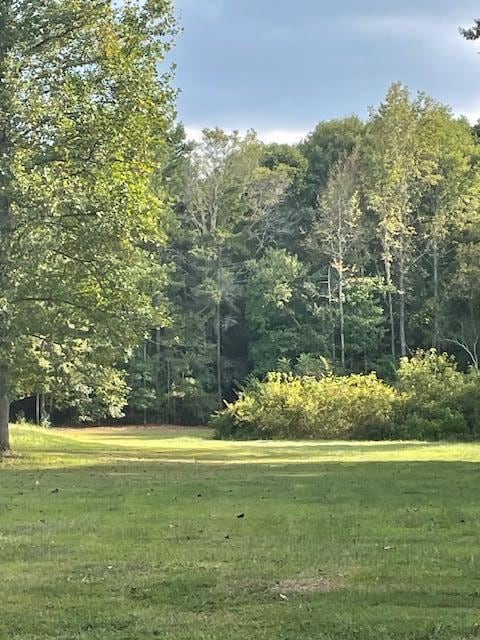 view of home's community with a lawn