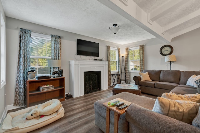 living room with beamed ceiling, hardwood / wood-style flooring, and a textured ceiling