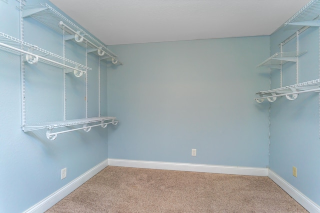 walk in closet featuring carpet