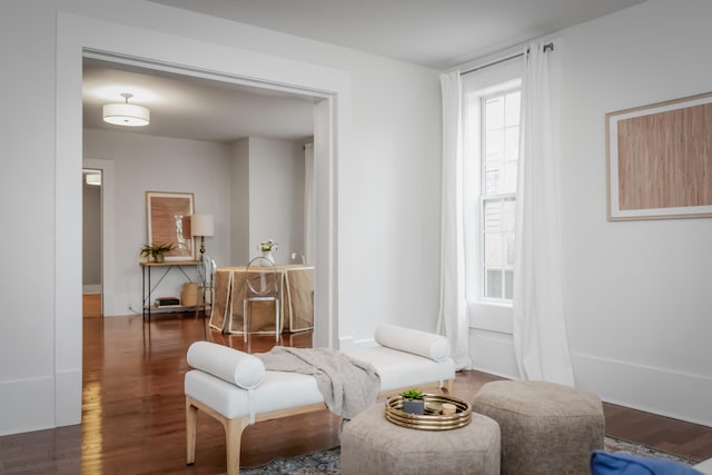 living area with dark wood-type flooring