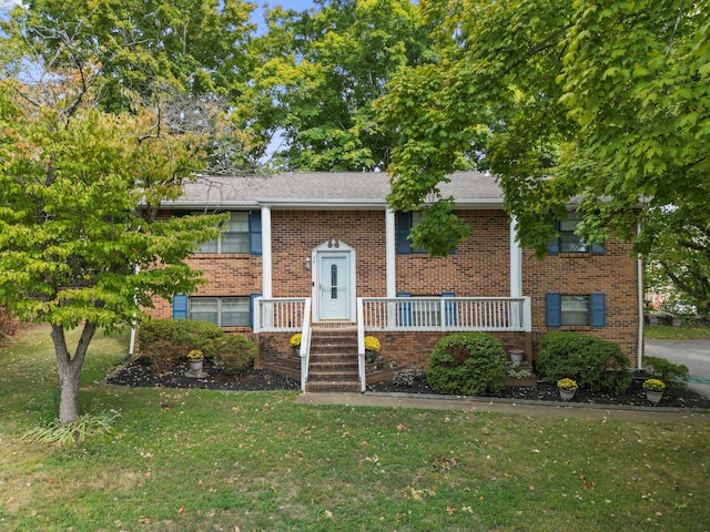 raised ranch with a front yard