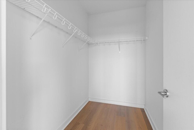 walk in closet with wood-type flooring