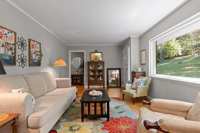 living room featuring hardwood / wood-style flooring and crown molding