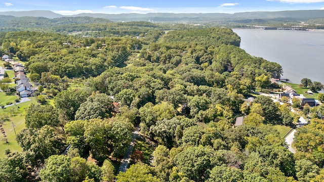 birds eye view of property with a water and mountain view