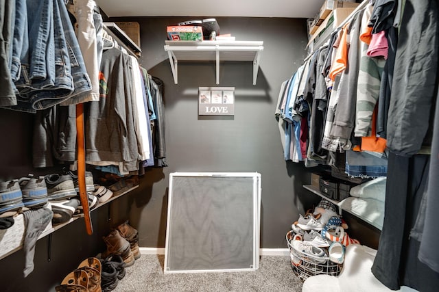 walk in closet featuring carpet flooring