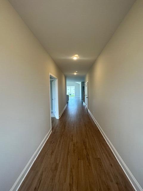 hallway with dark hardwood / wood-style flooring