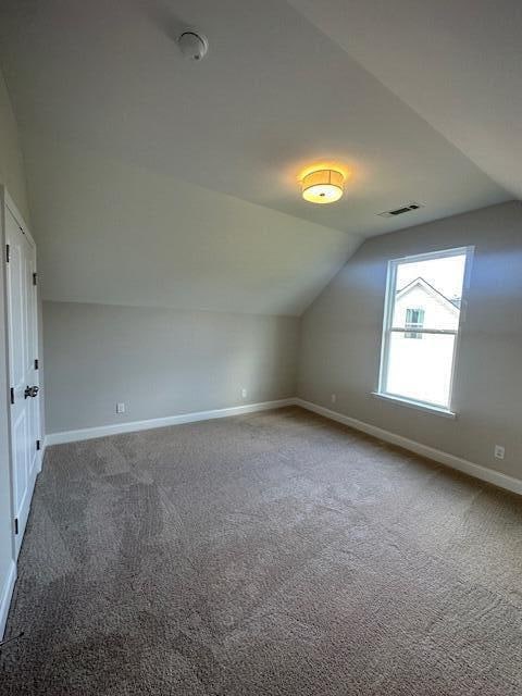 additional living space with carpet floors and lofted ceiling