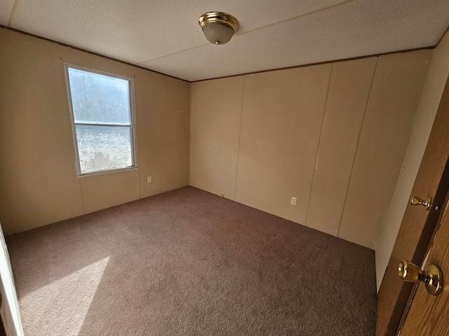 interior space featuring a textured ceiling and carpet