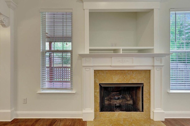 room details featuring hardwood / wood-style flooring and a premium fireplace