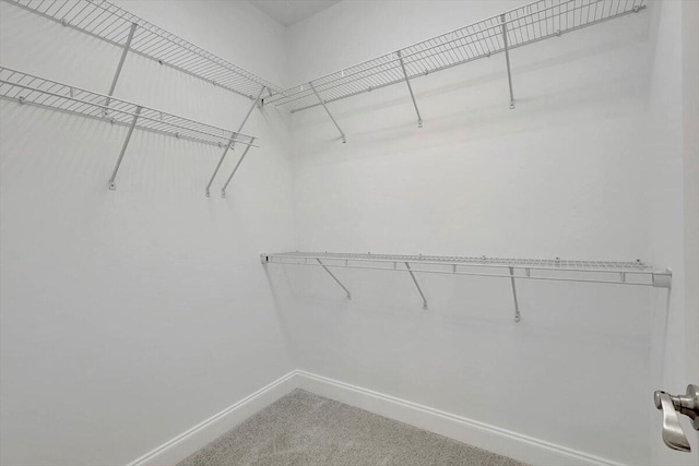 walk in closet featuring carpet floors