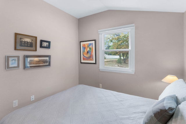 bedroom with vaulted ceiling