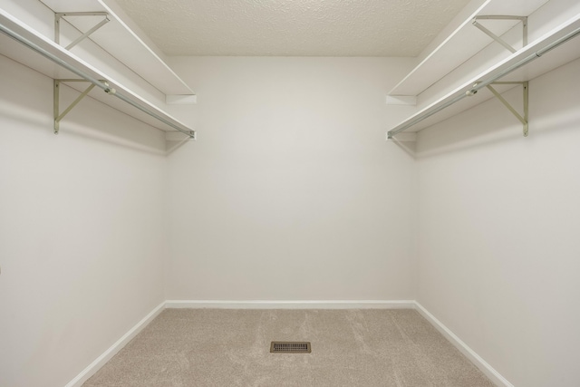 spacious closet featuring carpet flooring