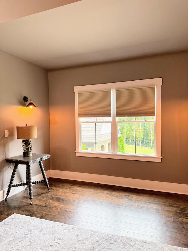 interior space with dark wood-type flooring