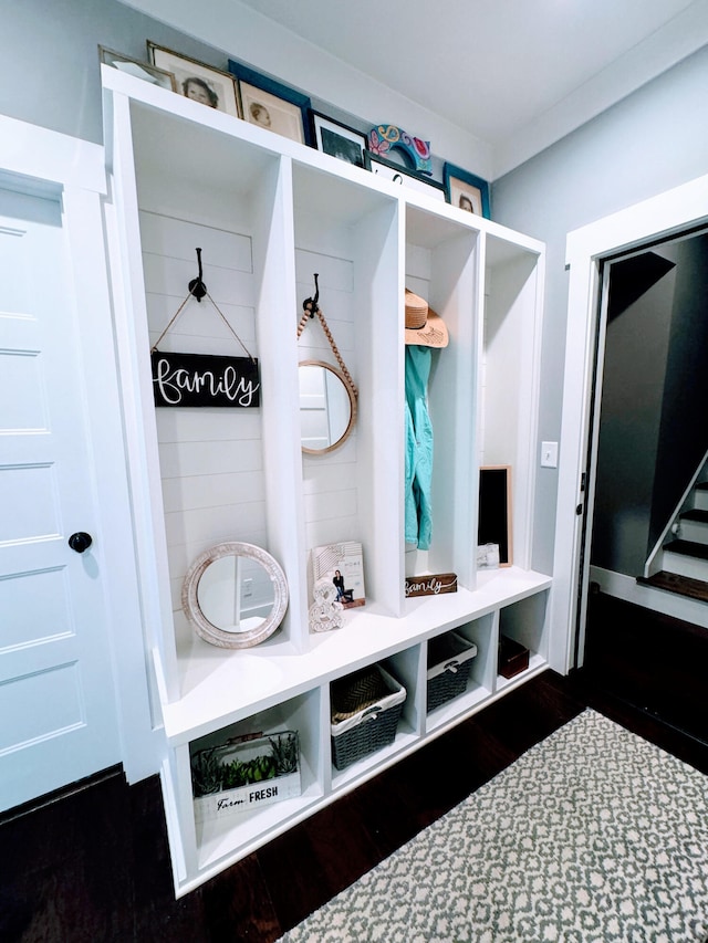 mudroom with dark hardwood / wood-style floors