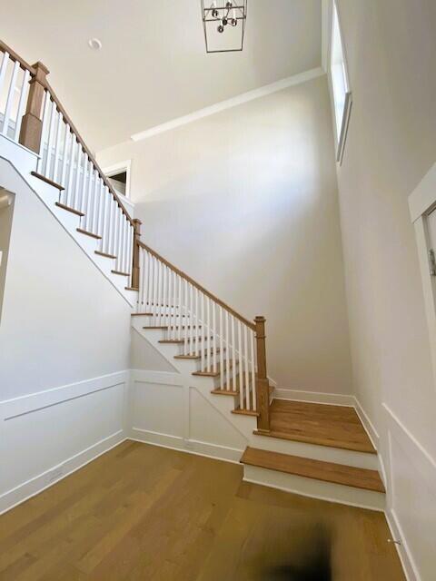 stairway featuring a high ceiling, a decorative wall, wood finished floors, and wainscoting