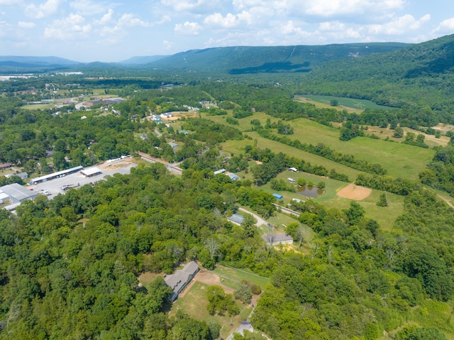 bird's eye view with a mountain view