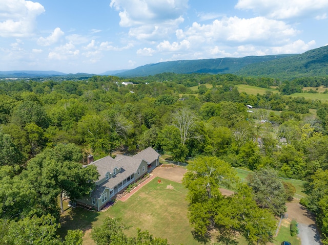 birds eye view of property featuring a mountain view