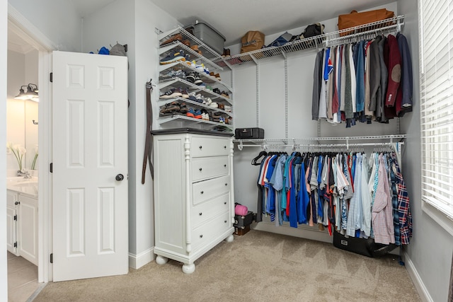 walk in closet featuring light carpet