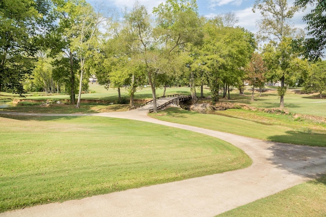 view of community with a lawn