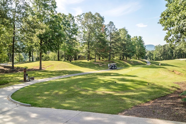 view of property's community featuring a lawn