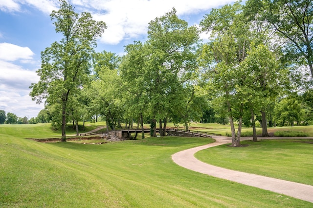 view of home's community with a lawn