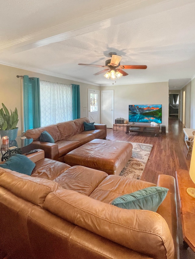 living area featuring crown molding, a textured ceiling, ceiling fan, and wood finished floors