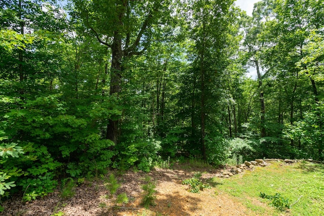 0 Valley Rim Dr Unit 63, Chickamauga, GA 30707