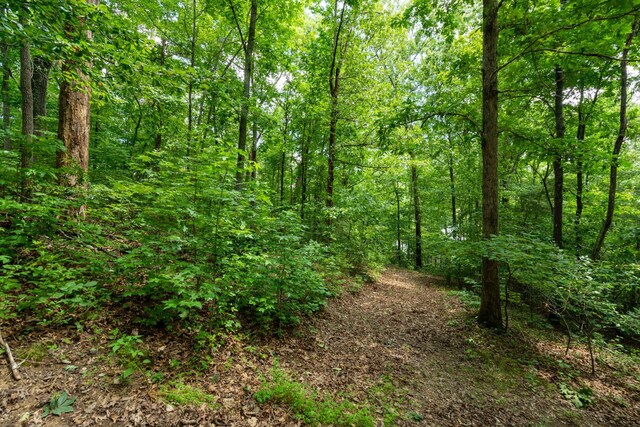 0 Valley Rim Dr Unit 63, Chickamauga, GA 30707