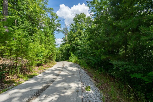 0 Valley Rim Dr Unit 63, Chickamauga, GA 30707
