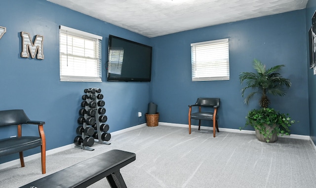 exercise area featuring plenty of natural light, carpet, and a textured ceiling