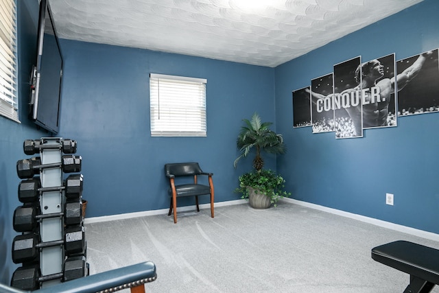 sitting room featuring carpet floors and a textured ceiling