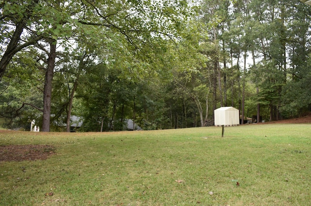 view of yard with a storage shed