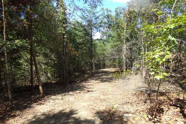 Listing photo 2 for 0 Hunter Trl Lot # 13, Trenton GA 30752