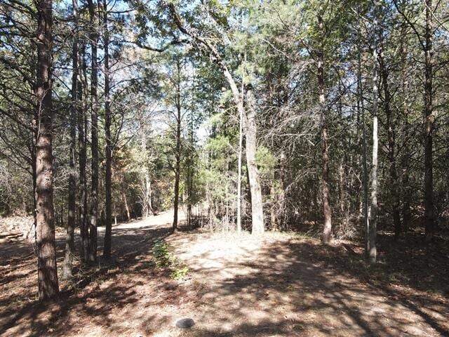 0 Hunter Trl Lot # 13, Trenton GA, 30752 land for sale