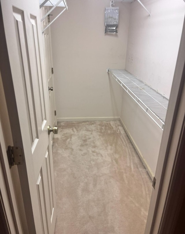 walk in closet featuring light colored carpet