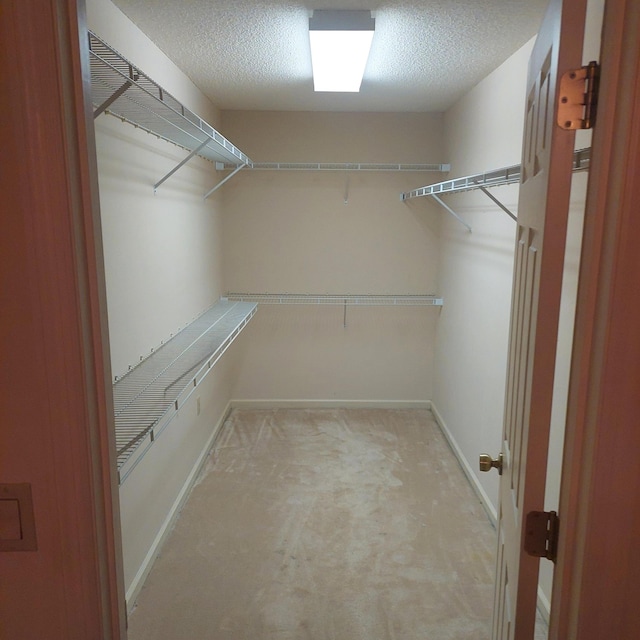 walk in closet featuring light colored carpet