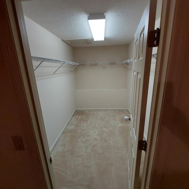 walk in closet with light colored carpet