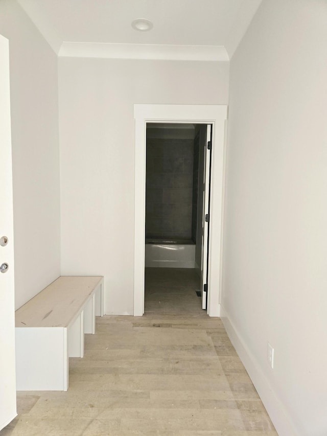 hallway featuring crown molding and light wood-type flooring